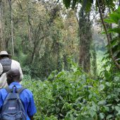  Curtis hiking Through Dense Jungle